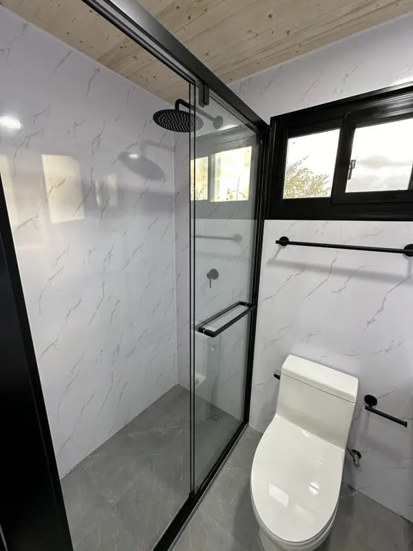 Glass walk-in shower with a rain head beside the toilet, under a pine ceiling